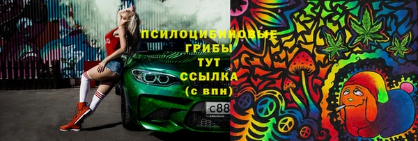 хмурый Вязьма